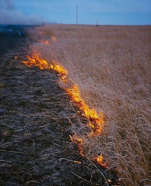 Prairie burn